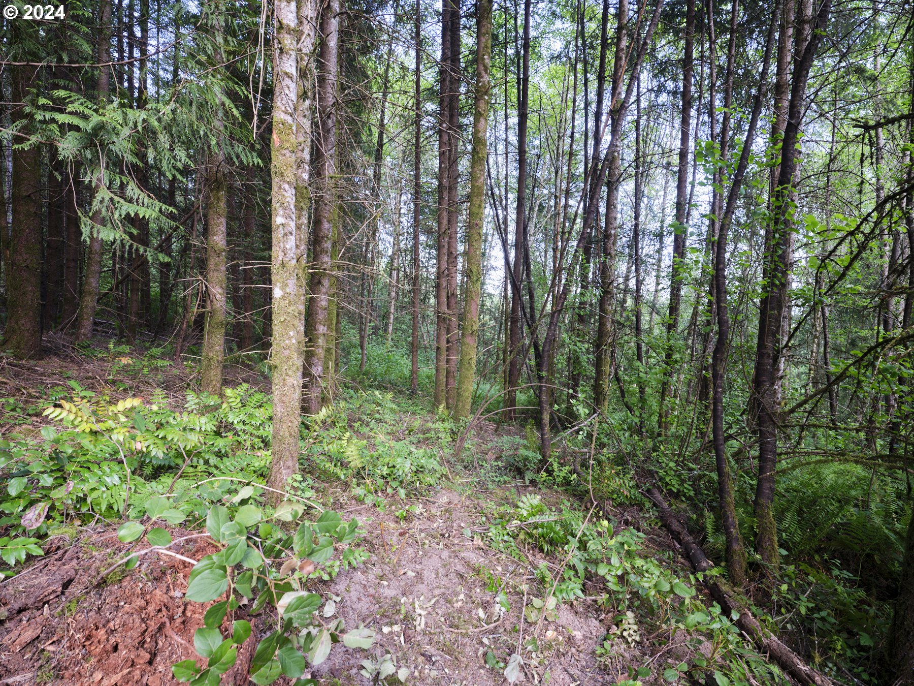 0 Green Mountain