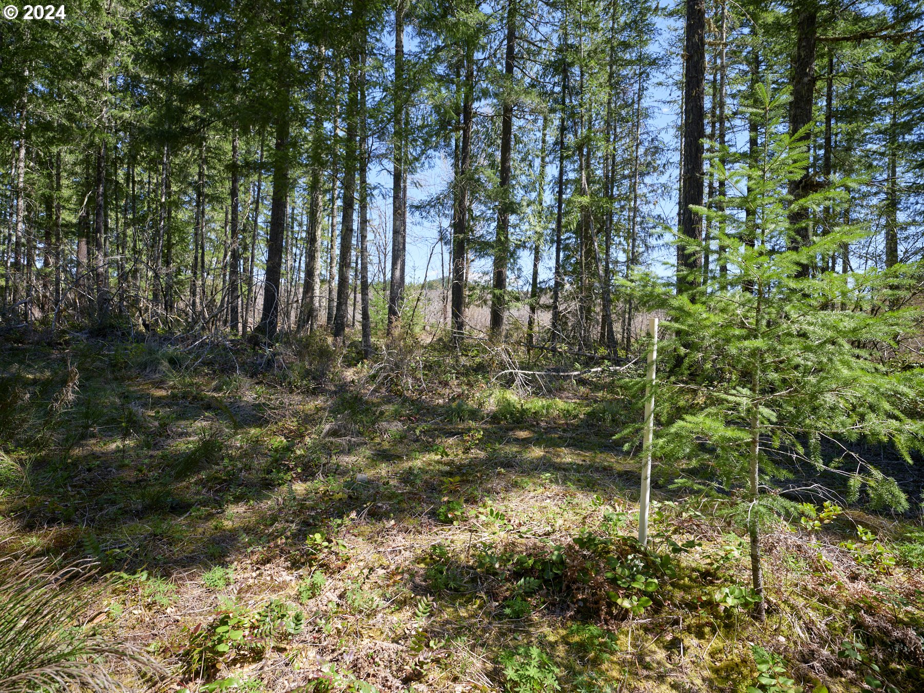 2 Lodgepole LN