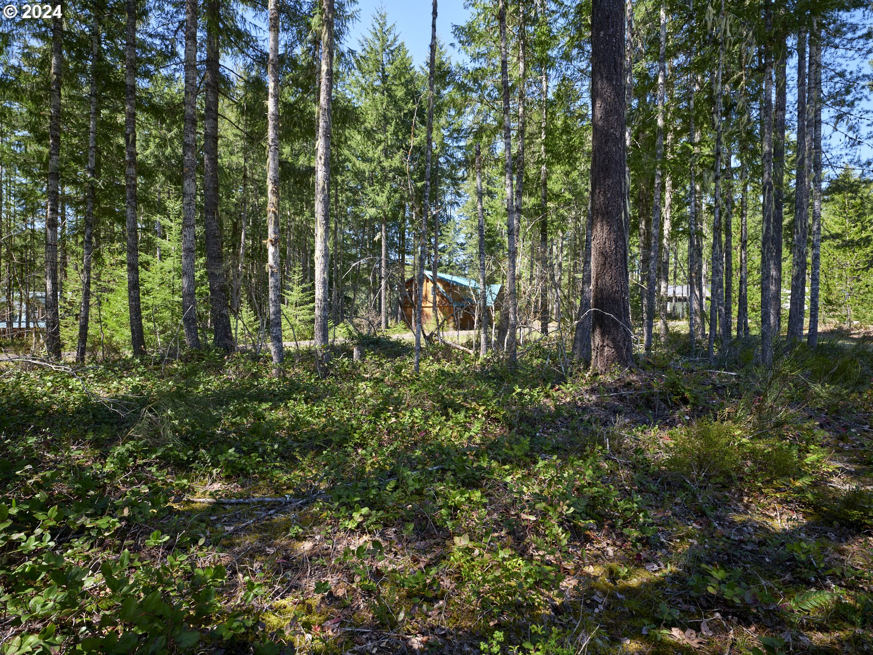 2 Lodgepole LN