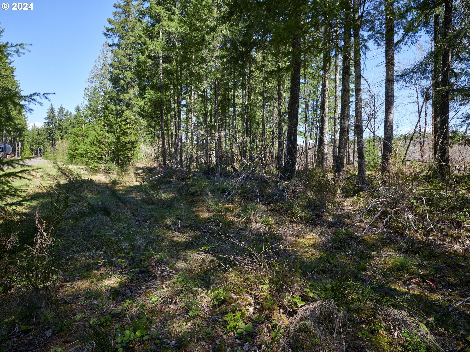 2 Lodgepole LN