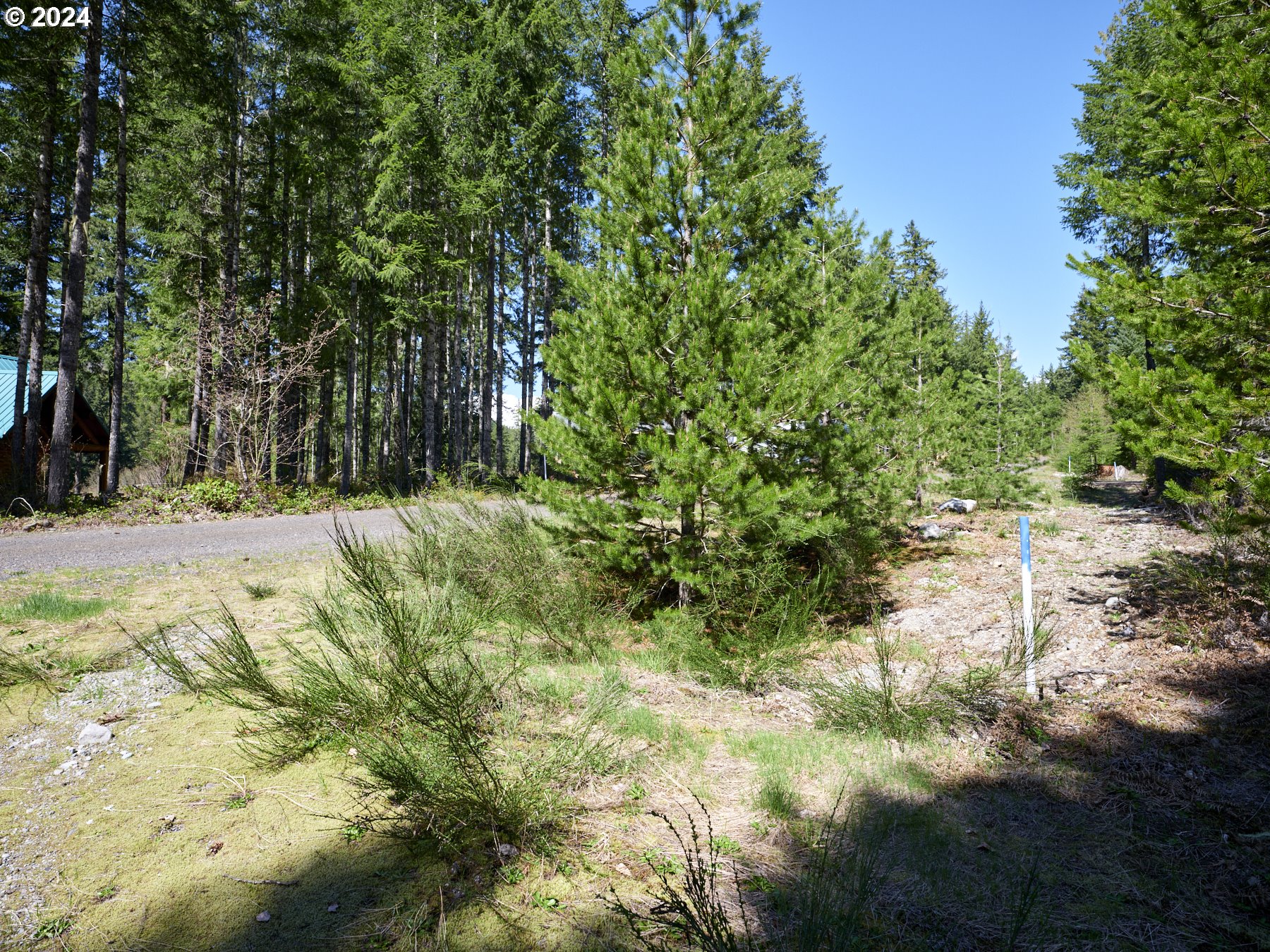 2 Lodgepole LN