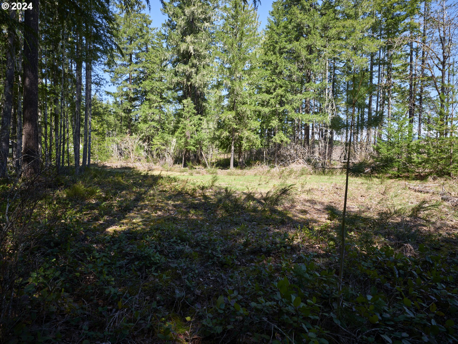 2 Lodgepole LN