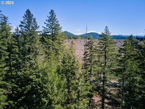 2 Lodgepole LN