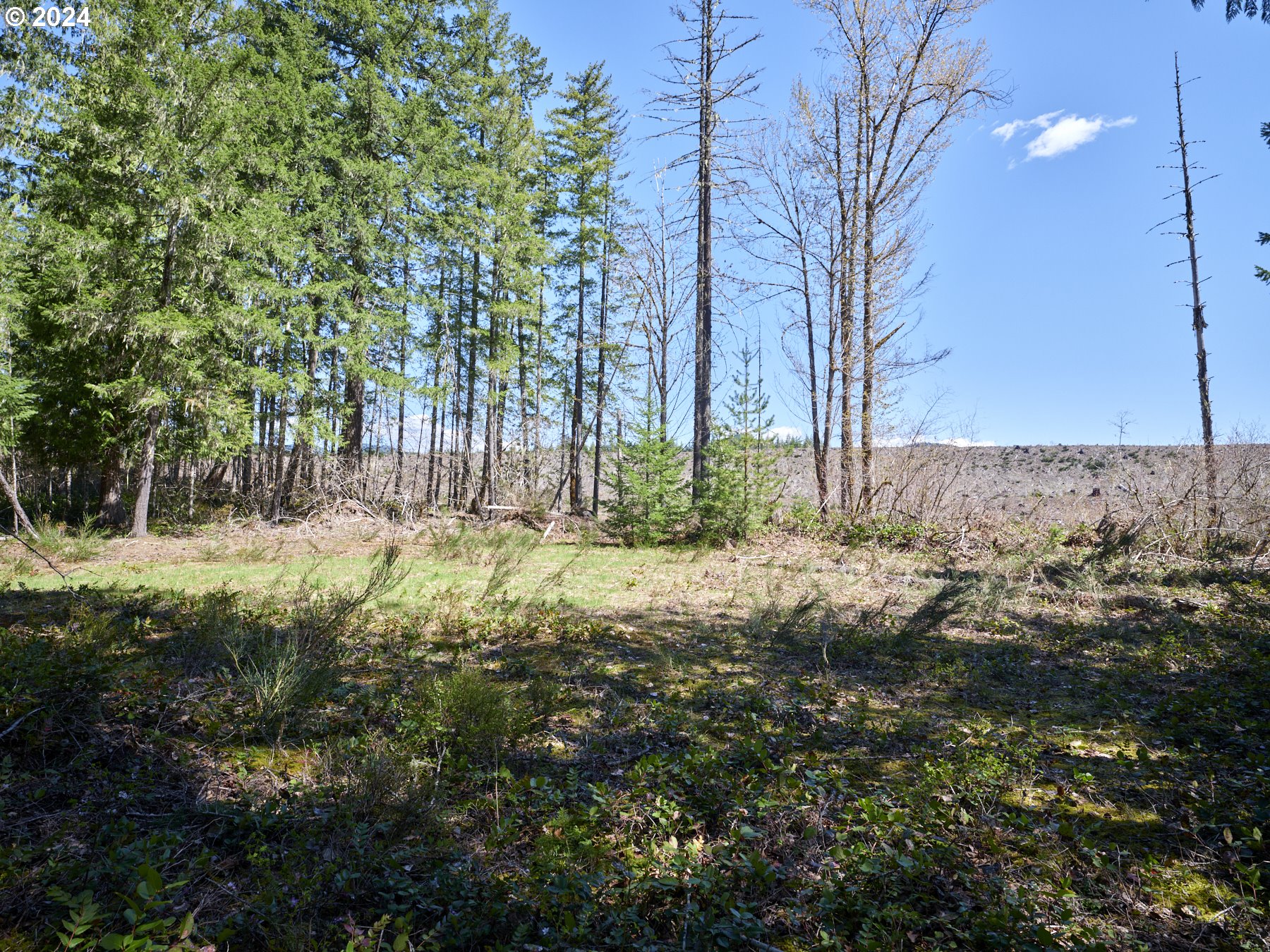 2 Lodgepole LN