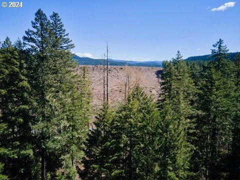 2 Lodgepole LN