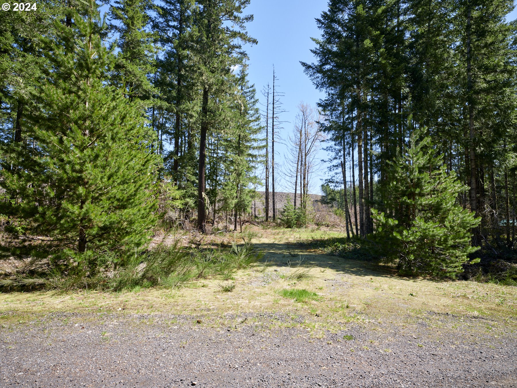 2 Lodgepole LN