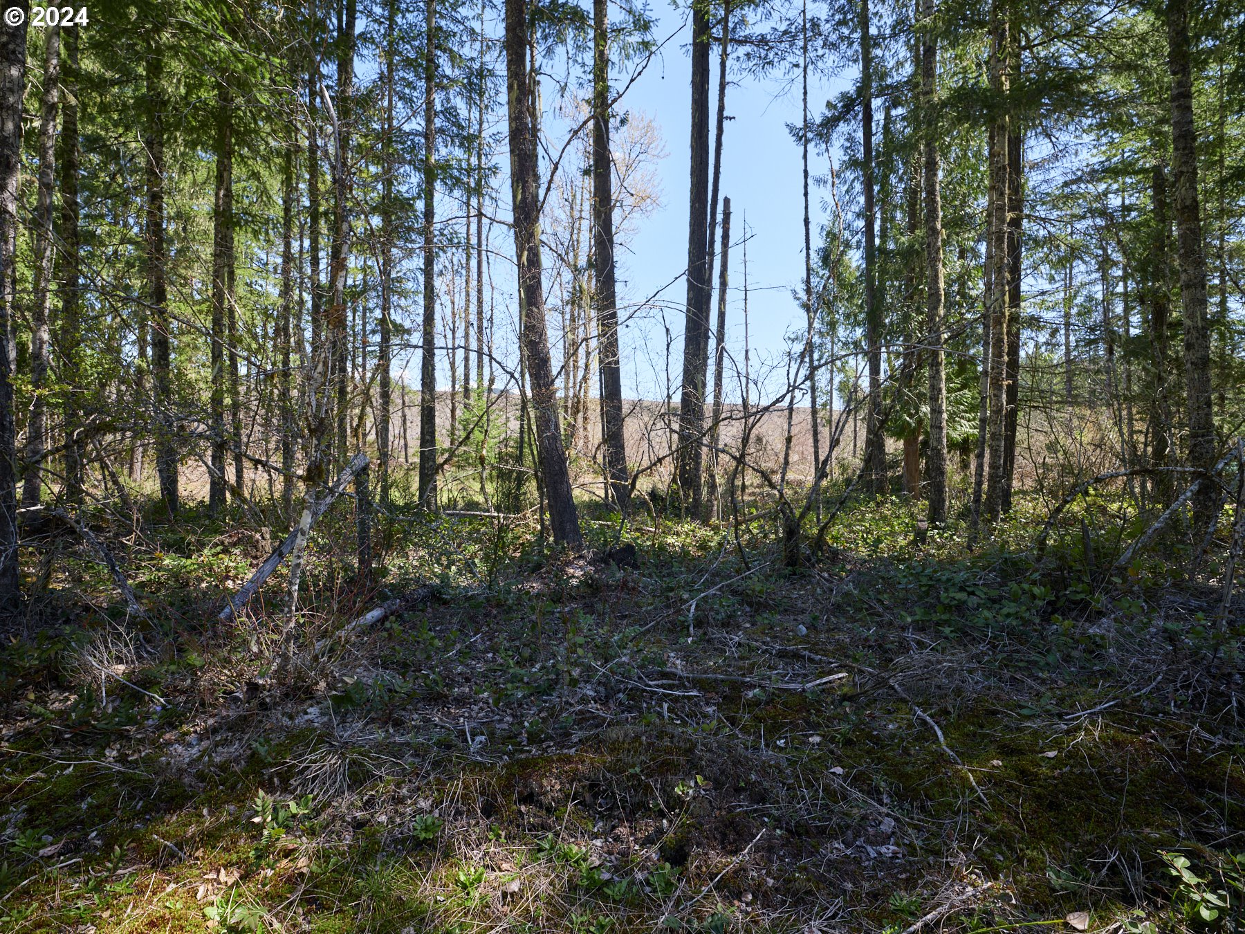 2 Lodgepole LN