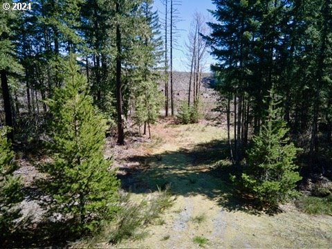 2 Lodgepole LN