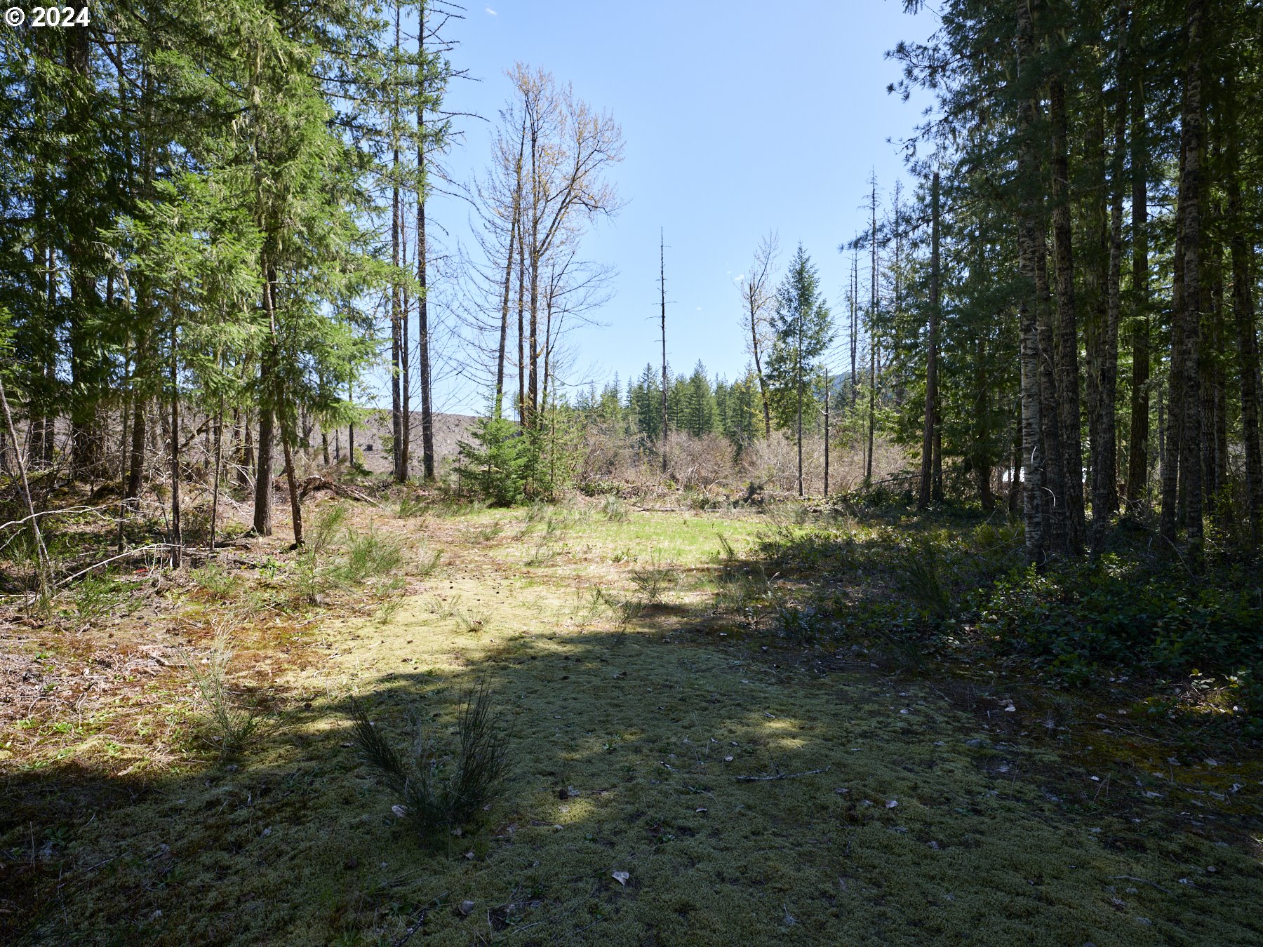 2 Lodgepole LN