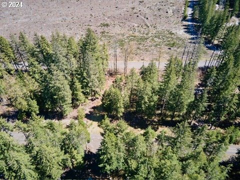 2 Lodgepole LN