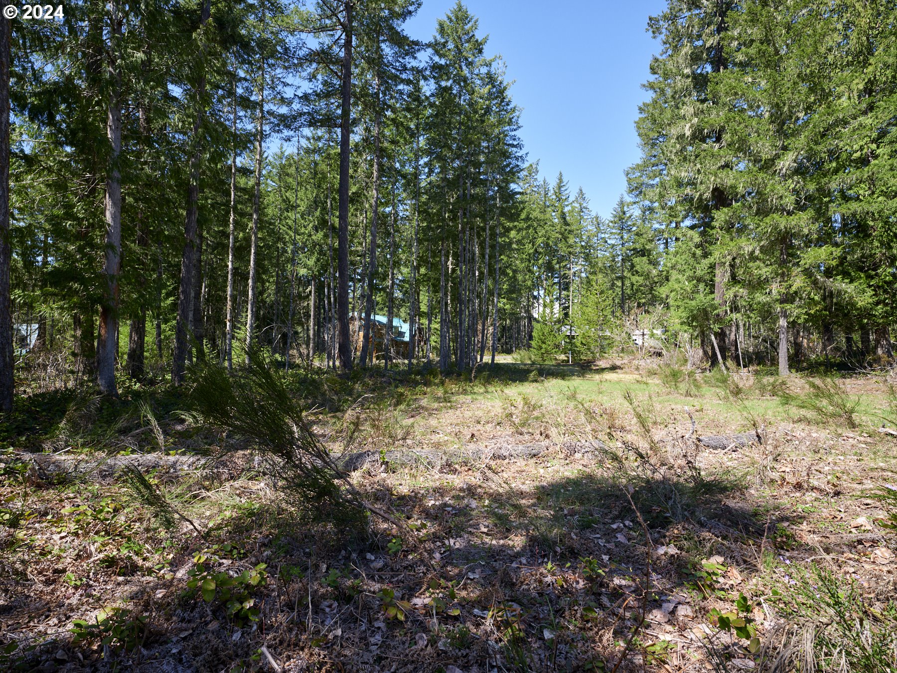2 Lodgepole LN