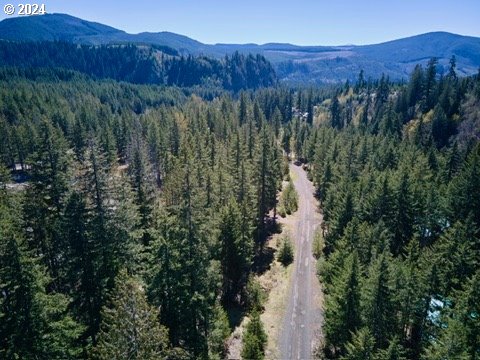 2 Lodgepole LN