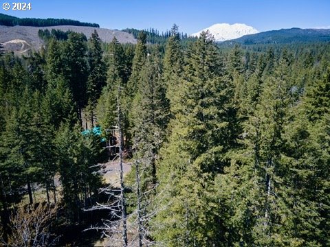 2 Lodgepole LN