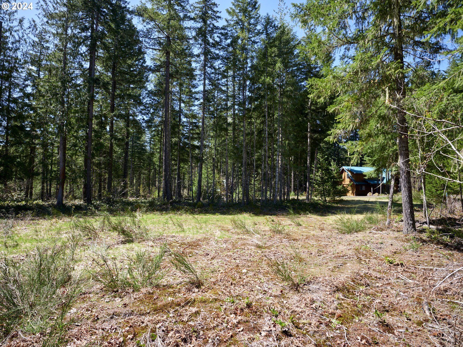 2 Lodgepole LN