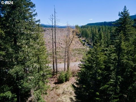 2 Lodgepole LN