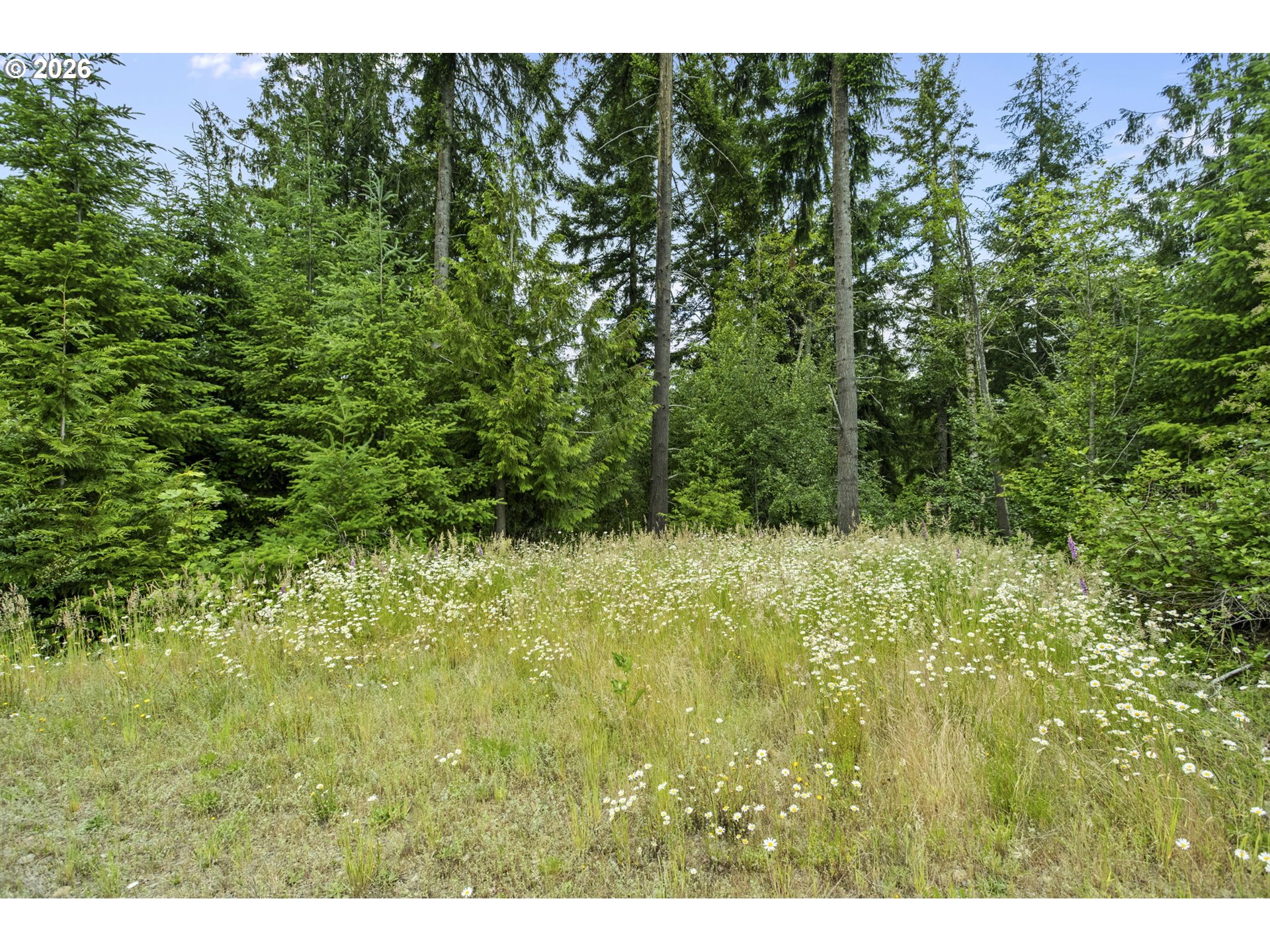 104 BOOTJACK LN
