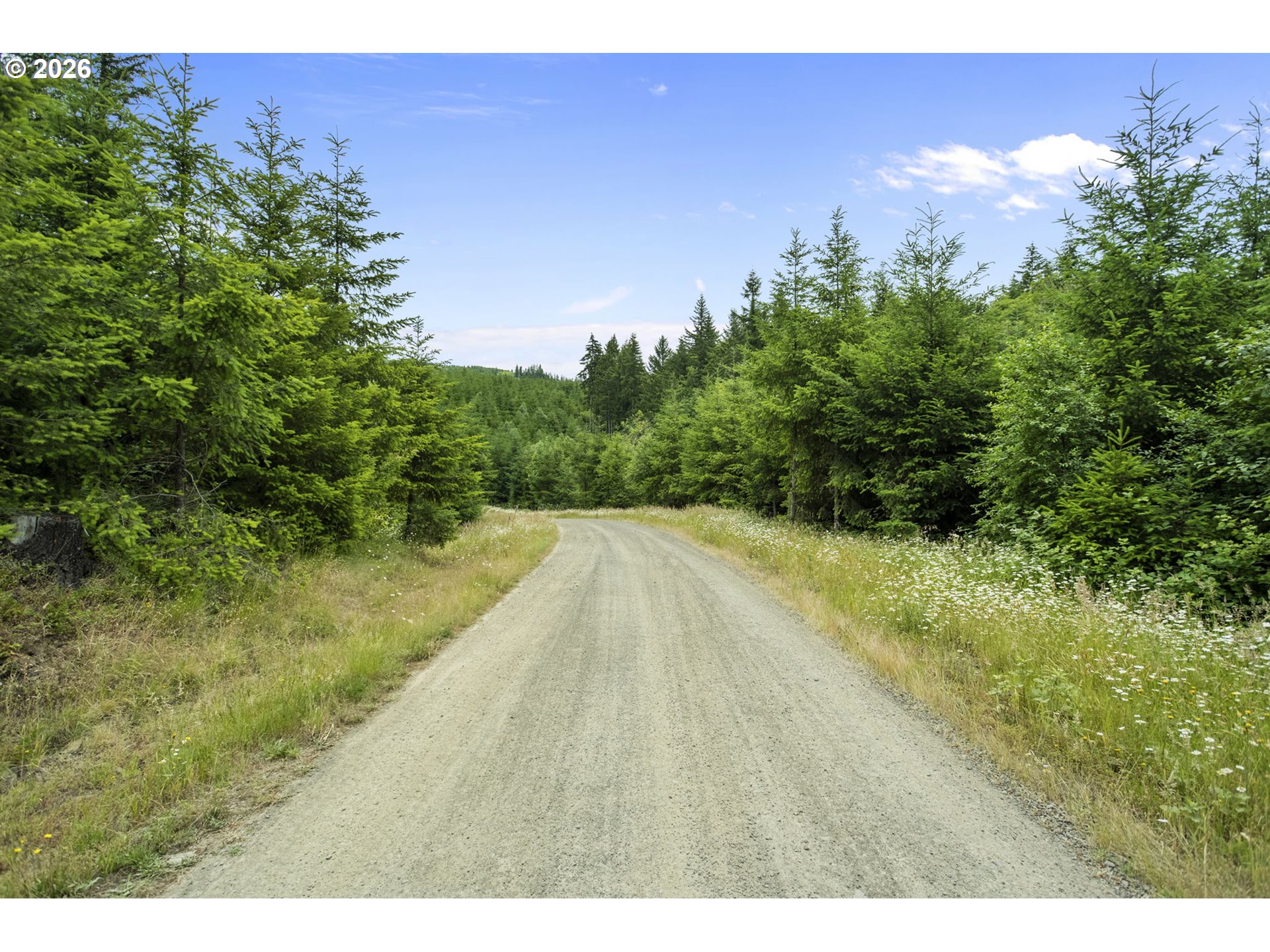 104 BOOTJACK LN