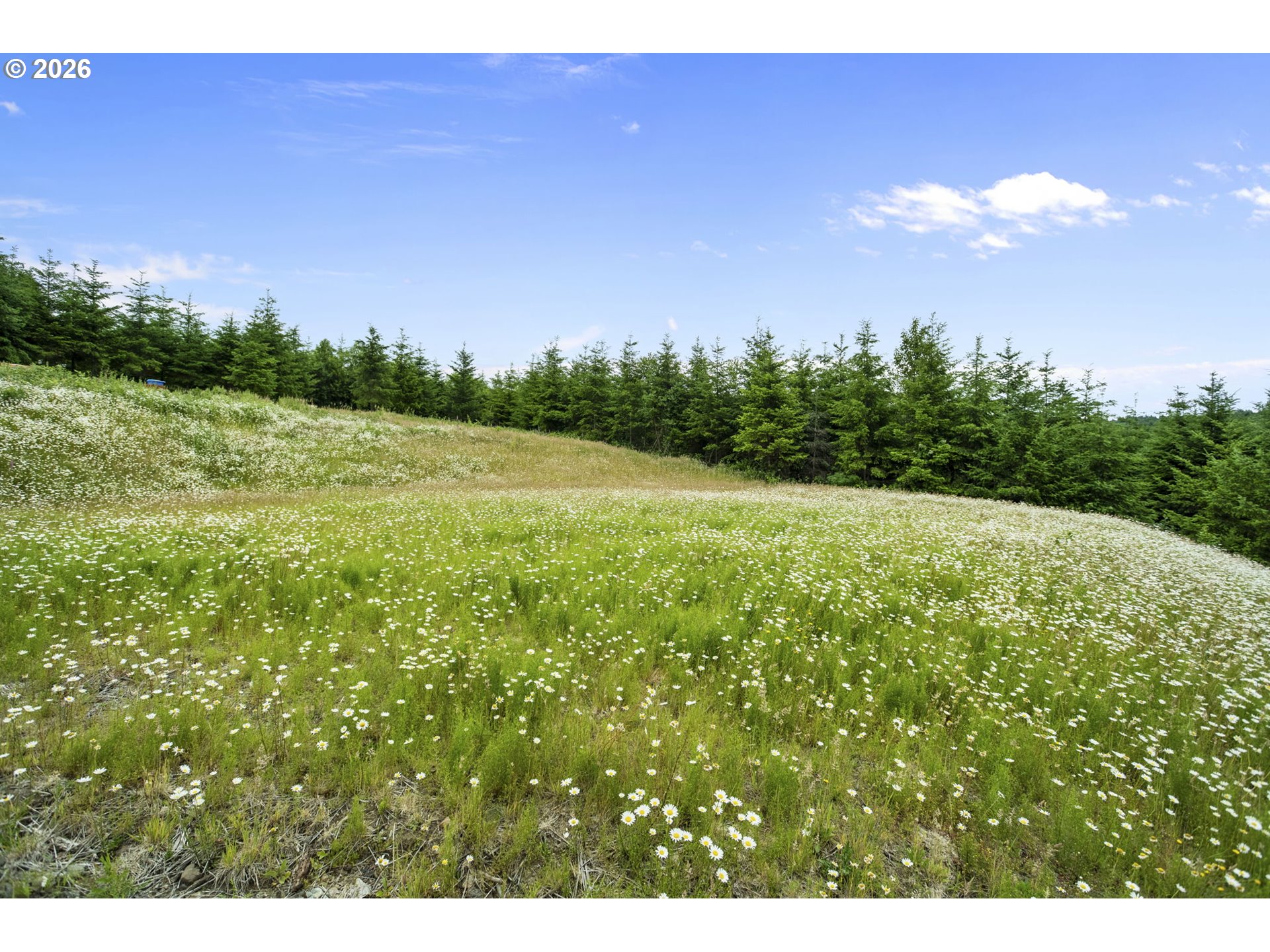 104 BOOTJACK LN