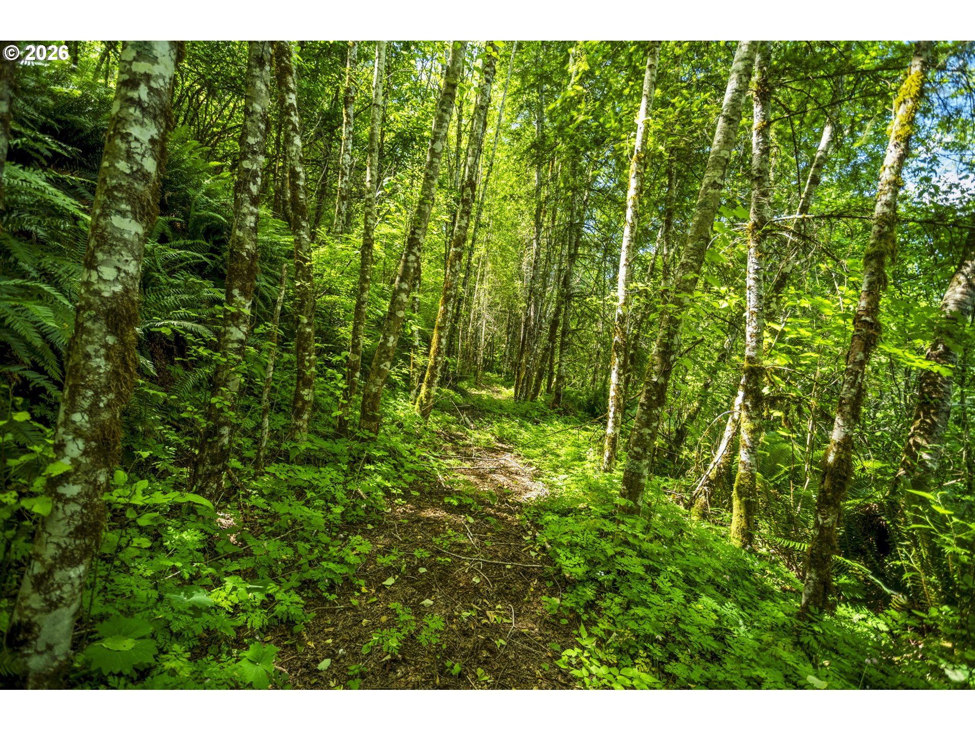 19005 NE BUNCOMBE HOLLOW RD