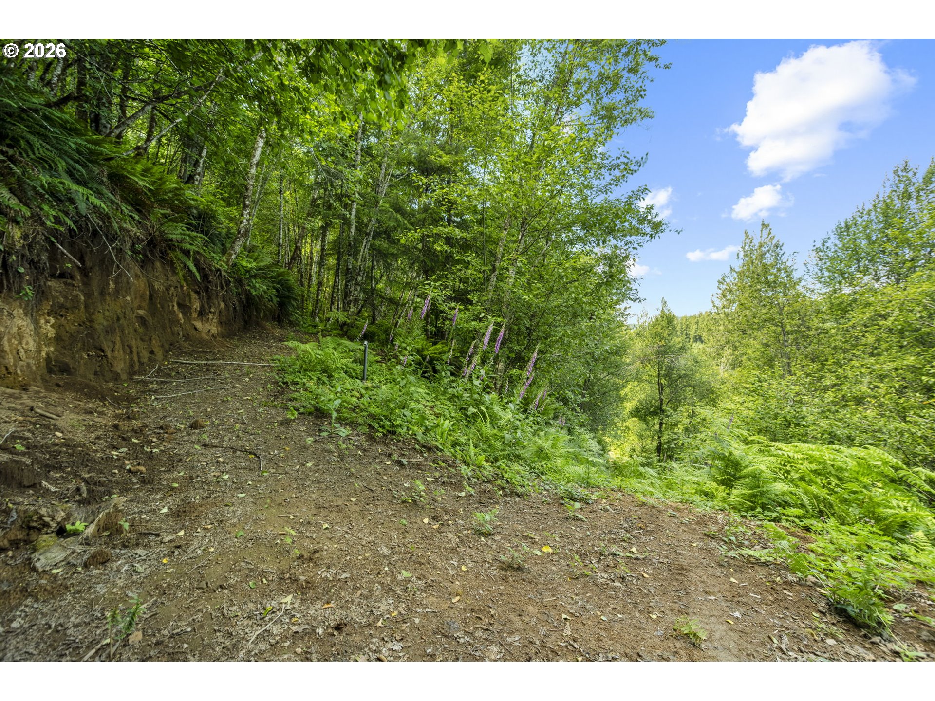 19005 NE BUNCOMBE HOLLOW RD