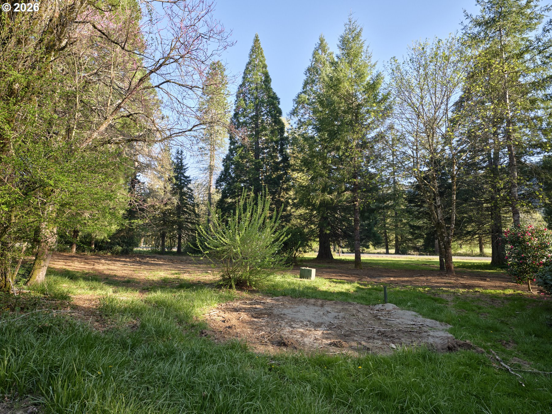 11846 LEWIS RIVER RD