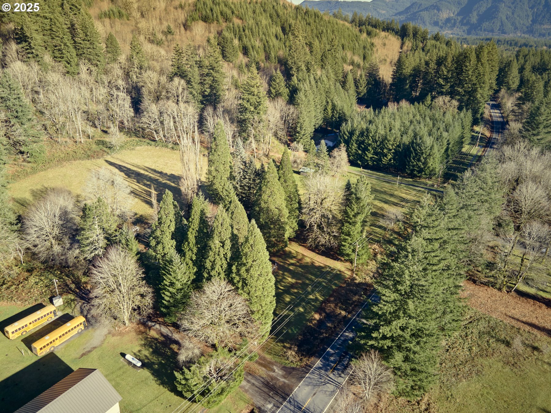 11846 LEWIS RIVER RD