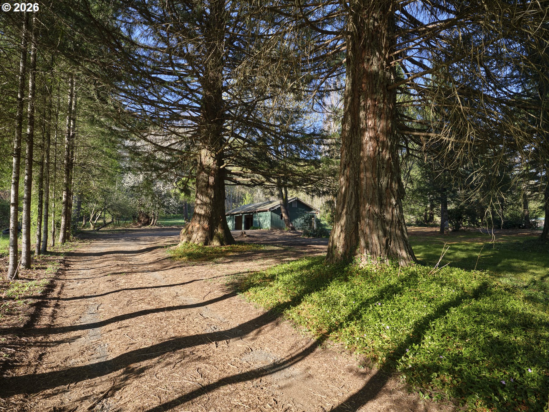 11846 LEWIS RIVER RD