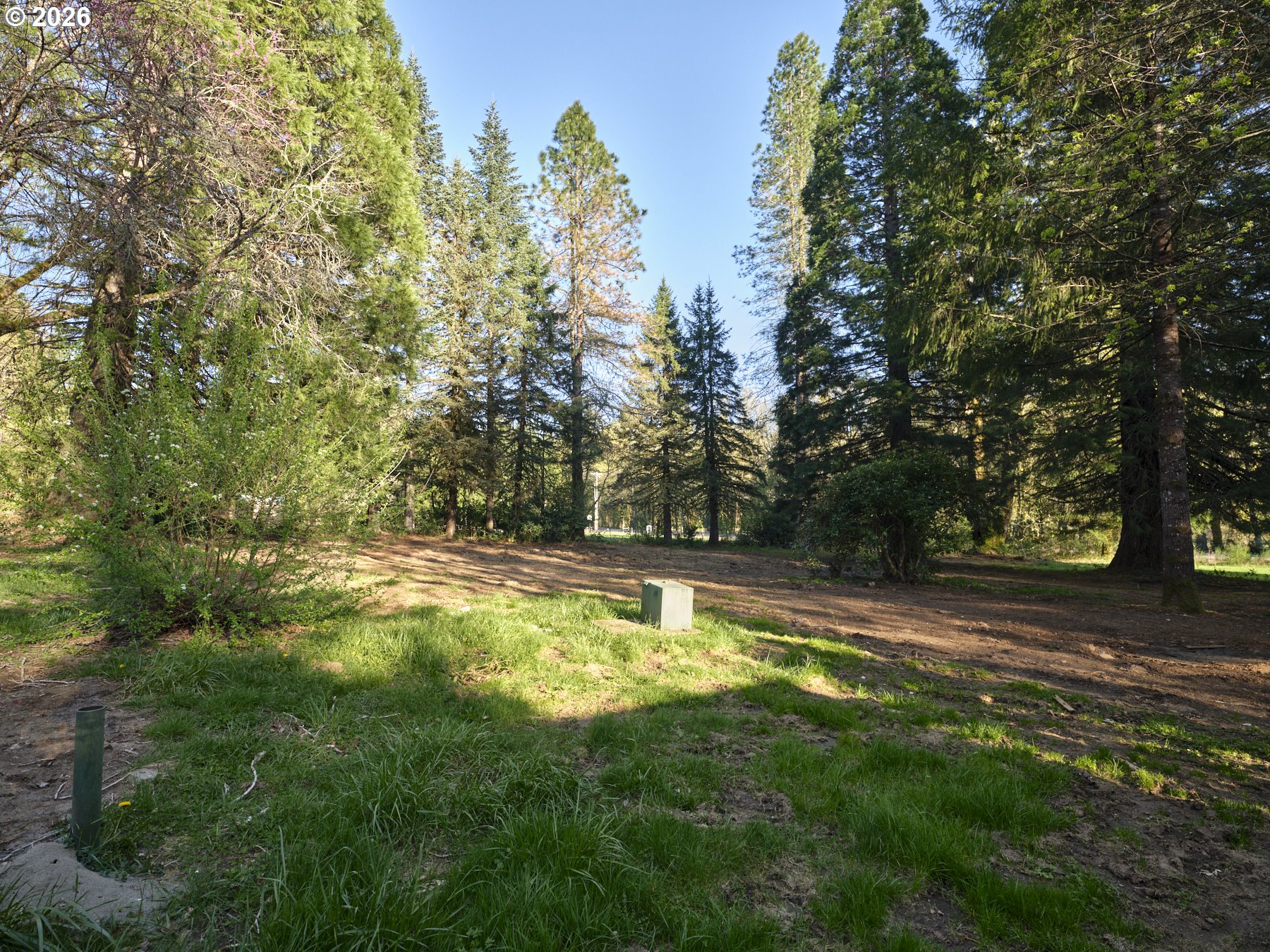 11846 LEWIS RIVER RD