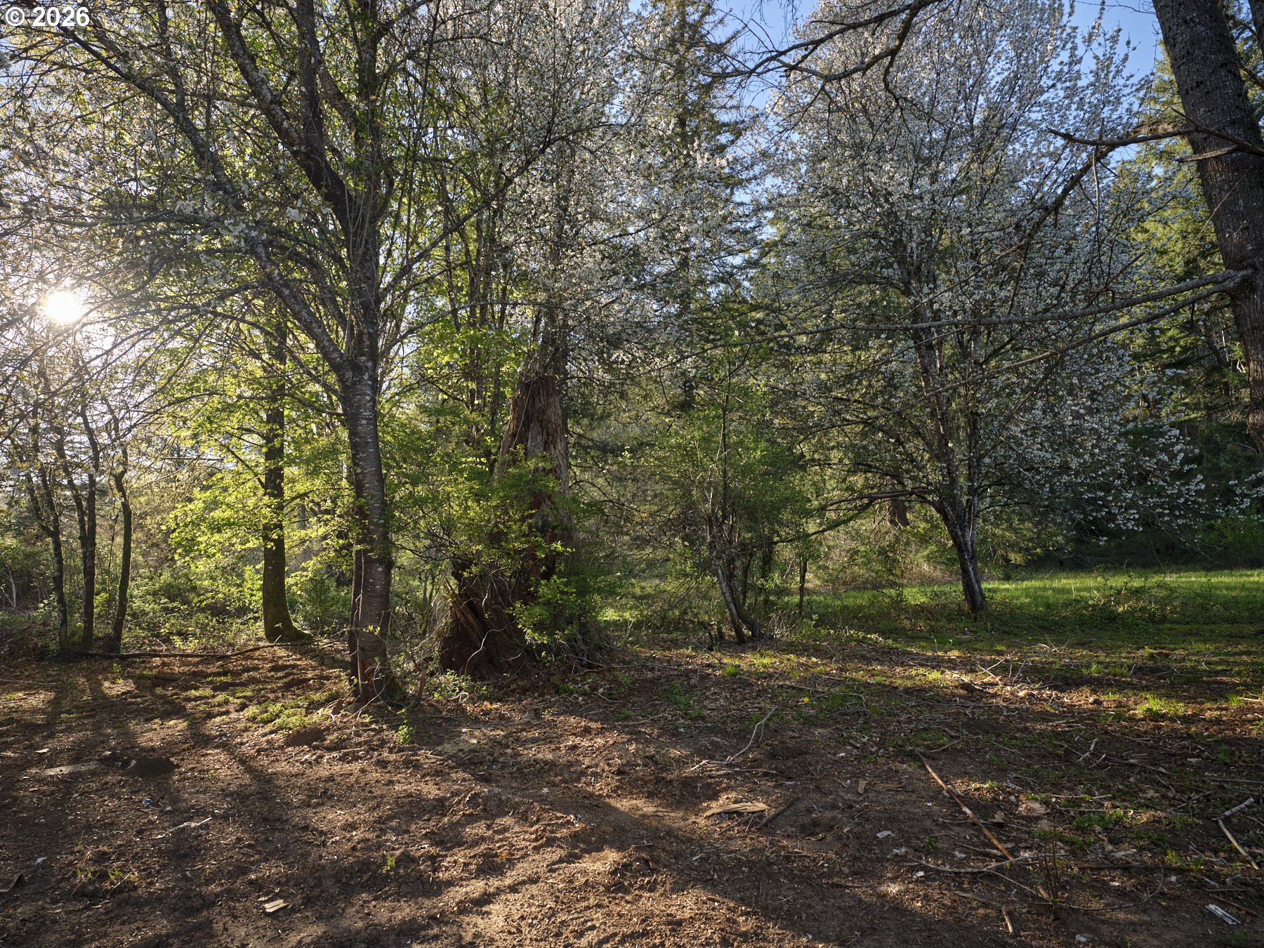 11846 LEWIS RIVER RD