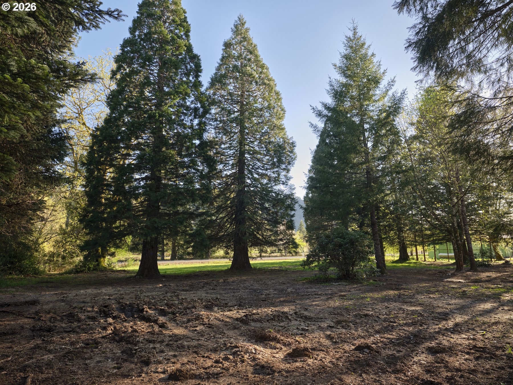 11846 LEWIS RIVER RD