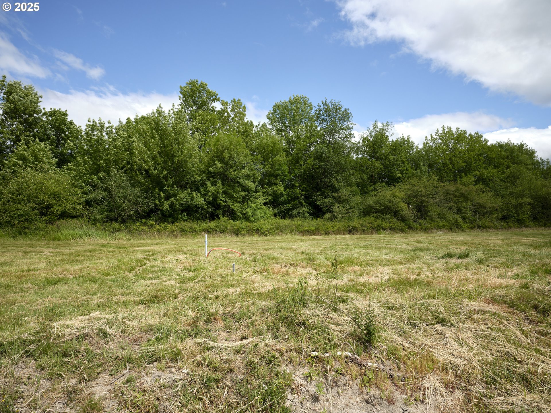 161 LACAMAS LN