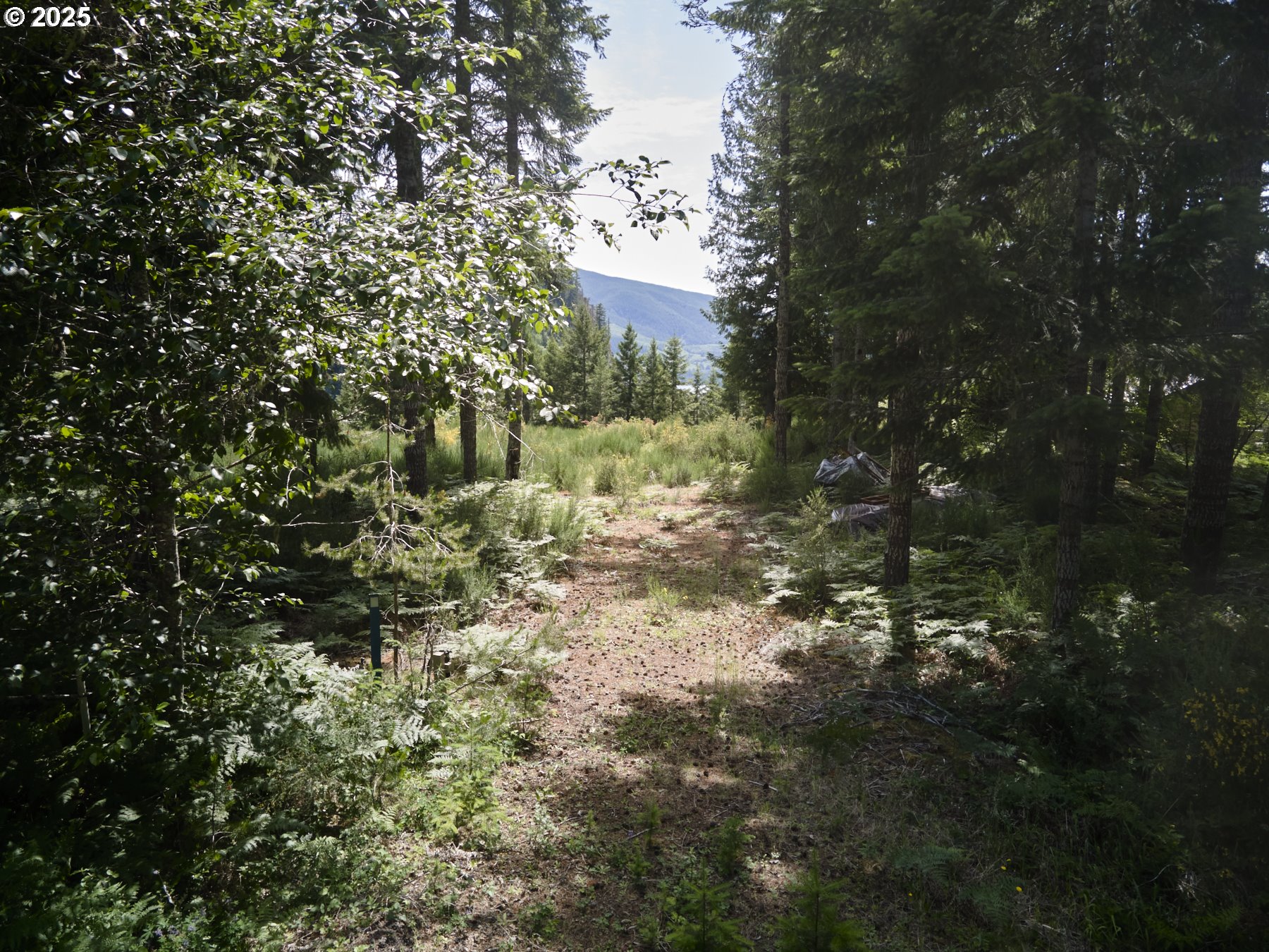 3 Phyllis Ann Block CT