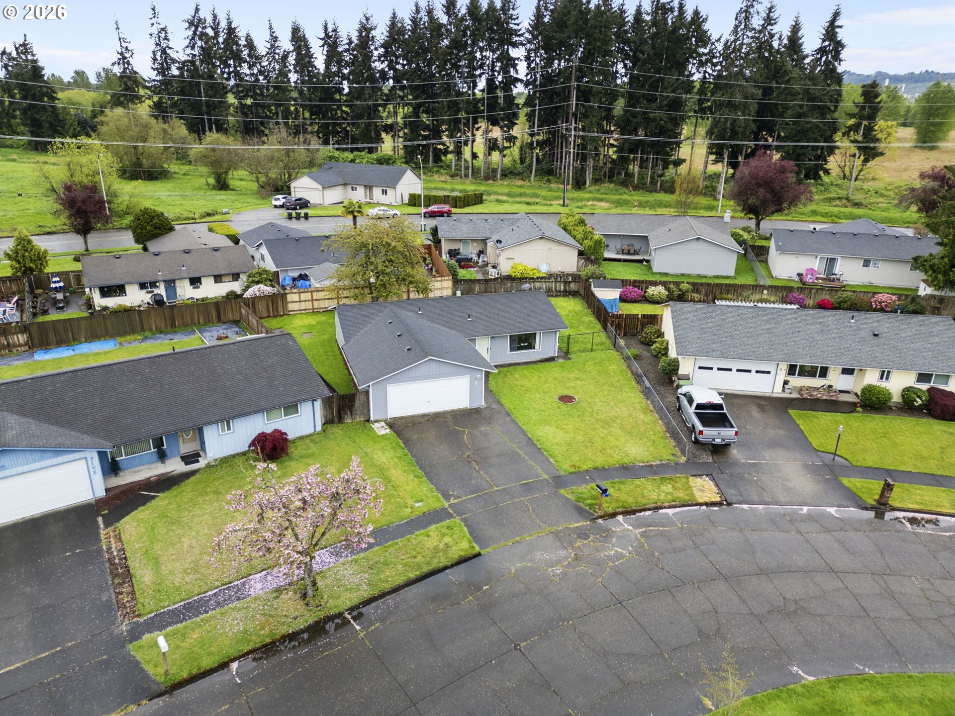 7 OLIVE CT