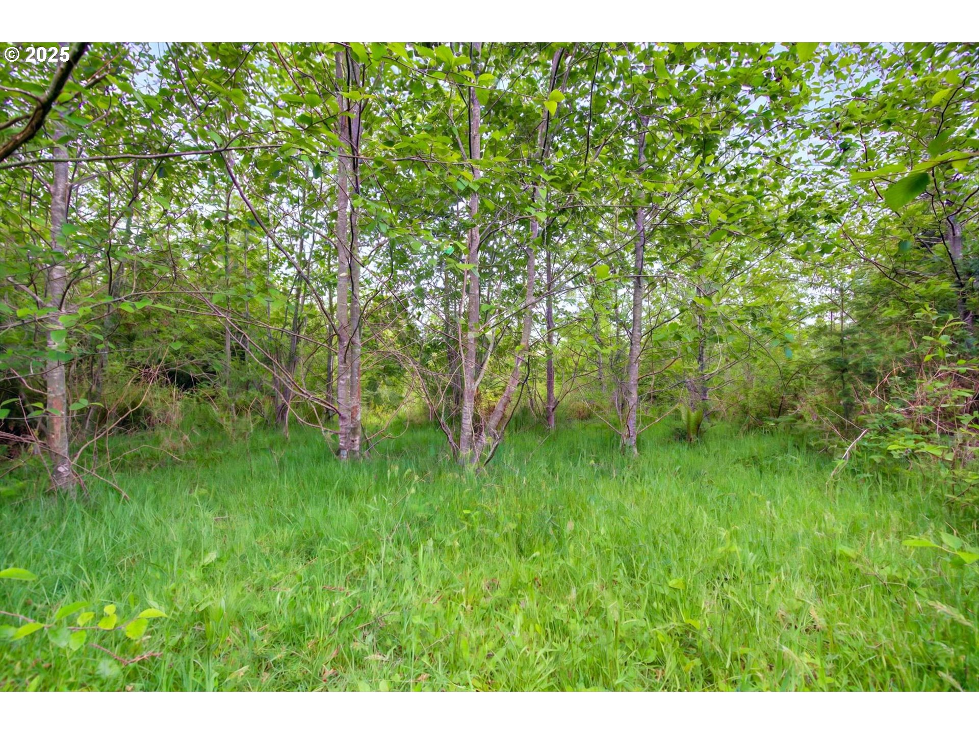 5 Parpala RD 5