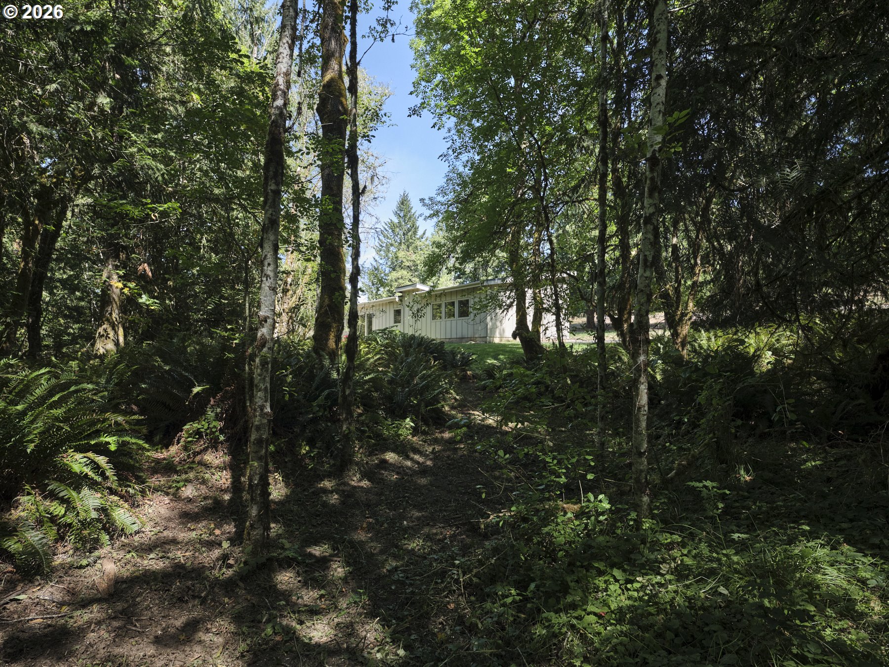 956 PAINE RD