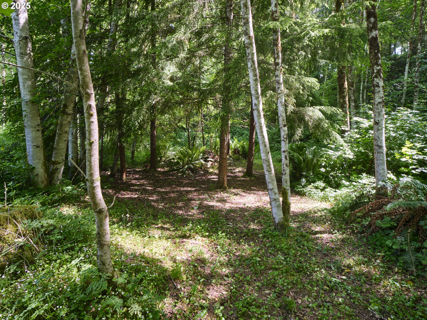 205 BAKER RD