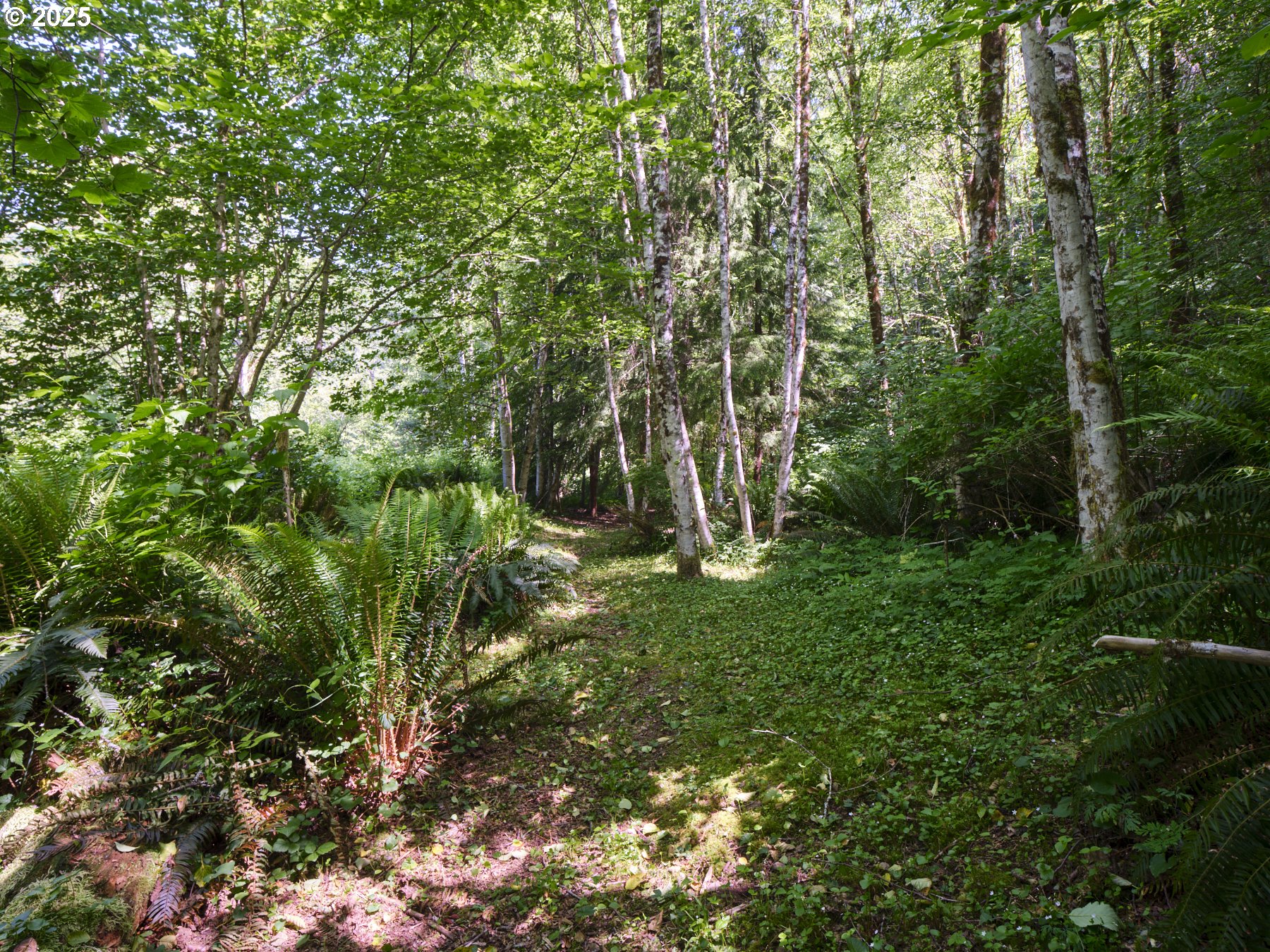 205 BAKER RD
