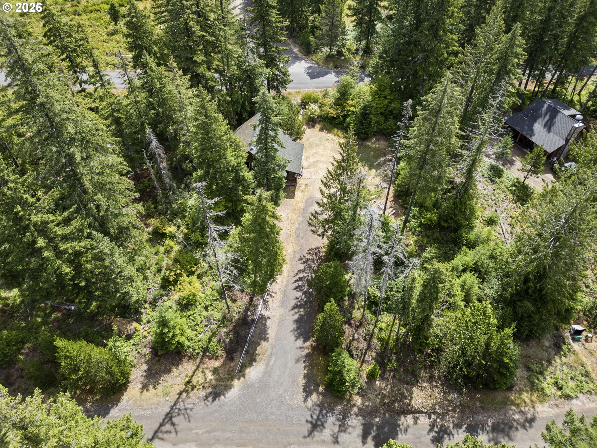 181 LODGEPOLE LN
