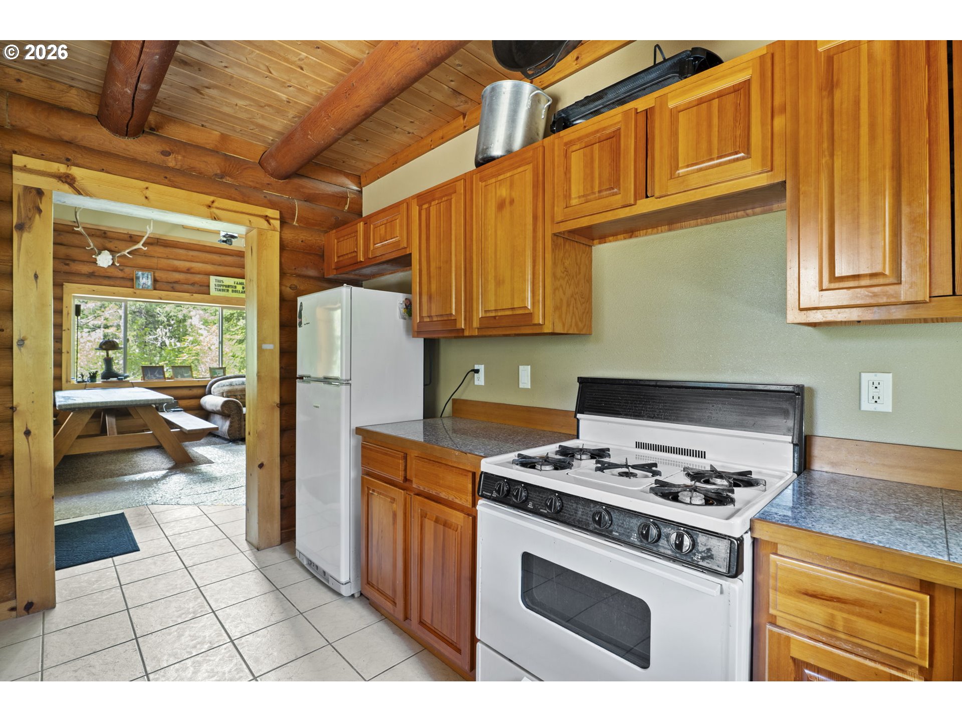 181 LODGEPOLE LN