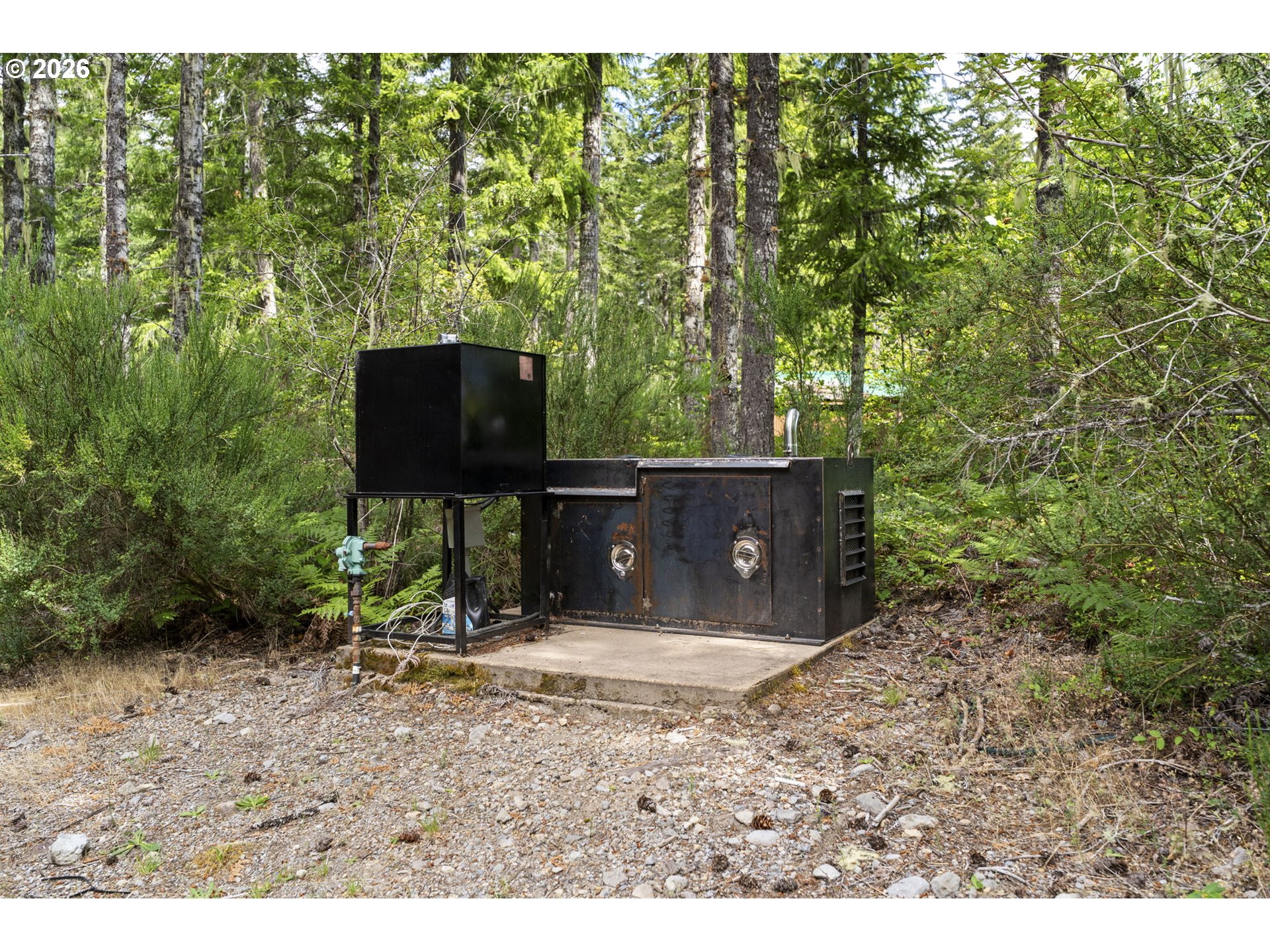 181 LODGEPOLE LN