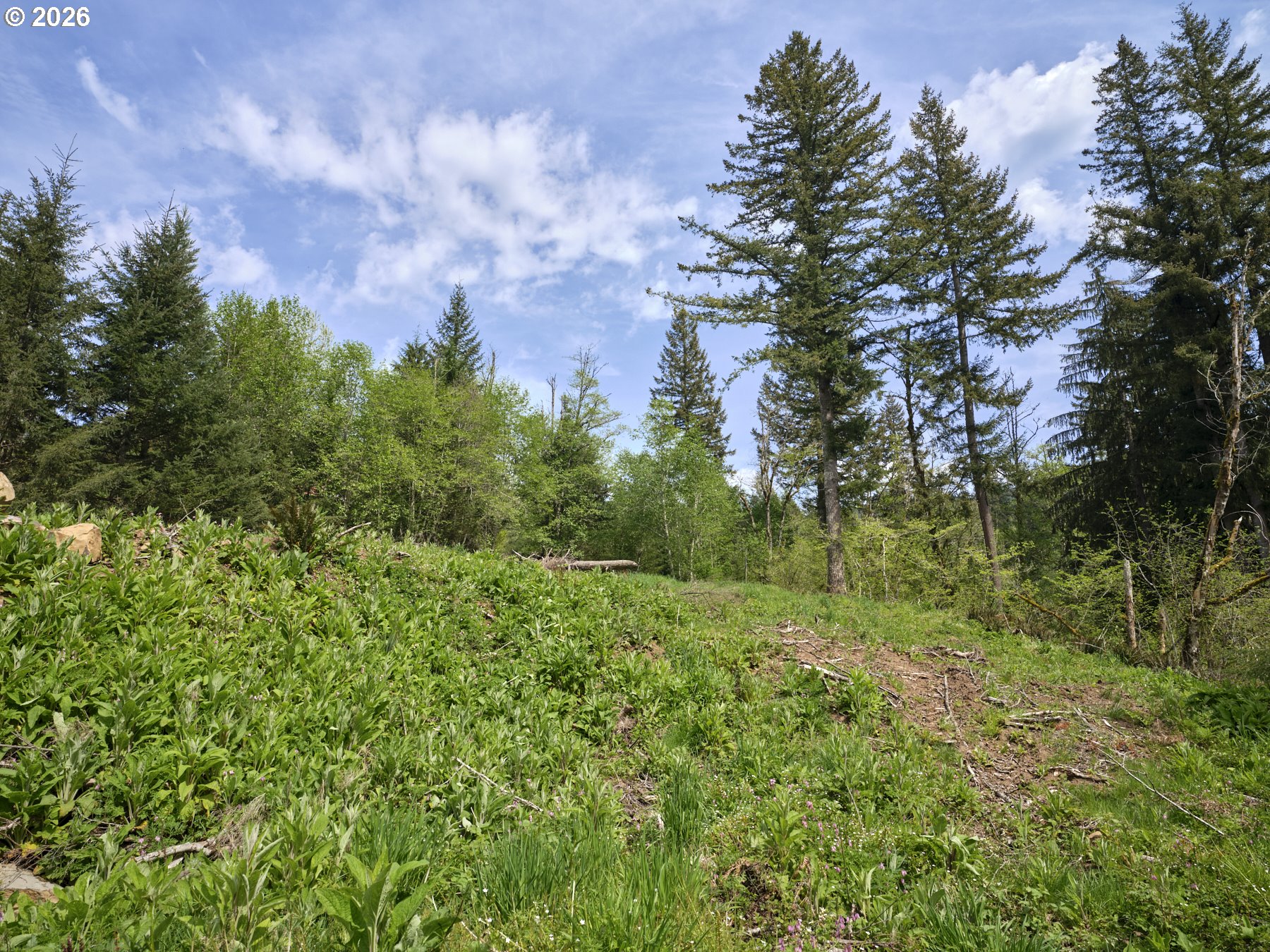 140 SKINNER RD