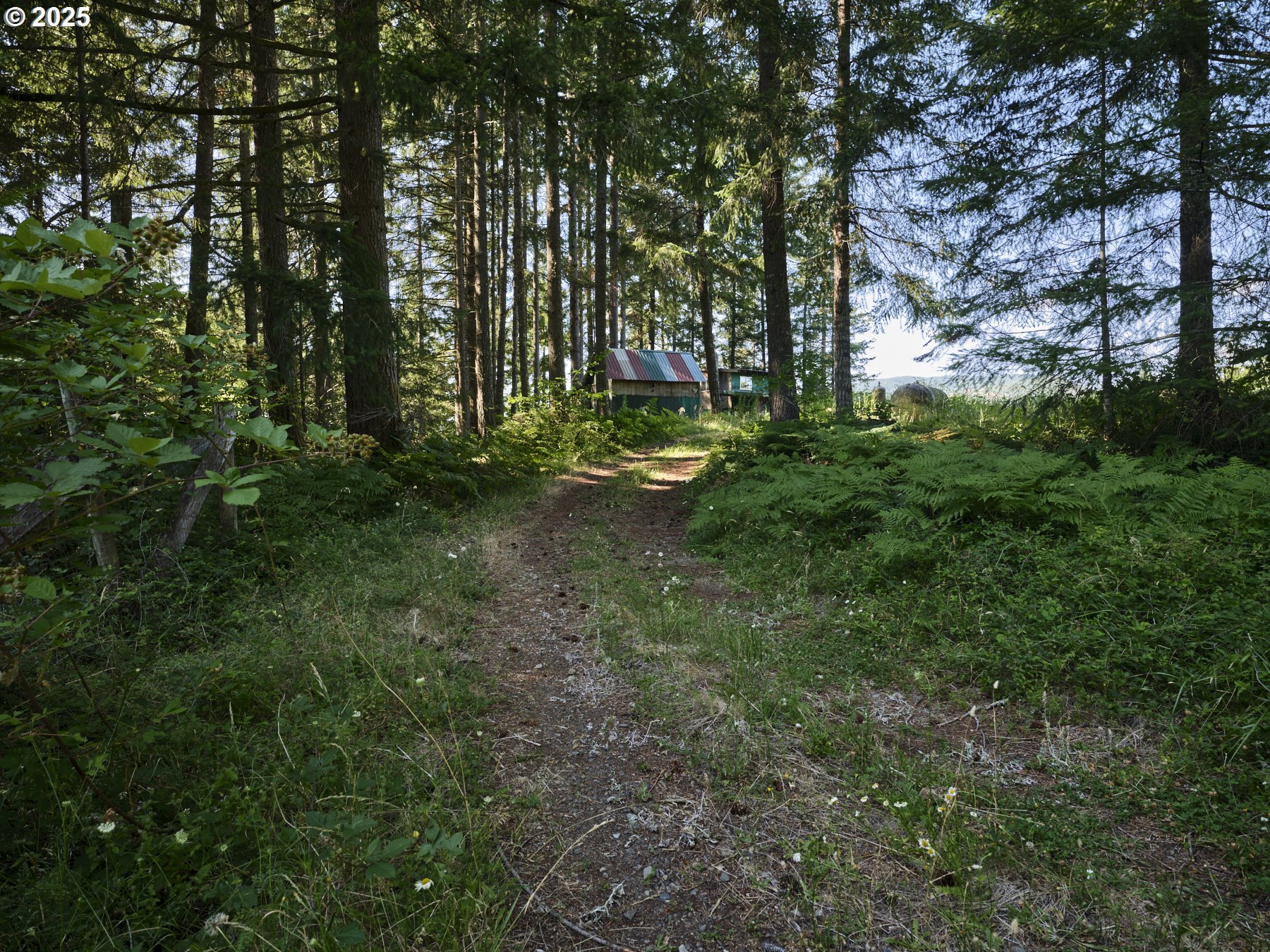 0 Buncombe Hollow RD