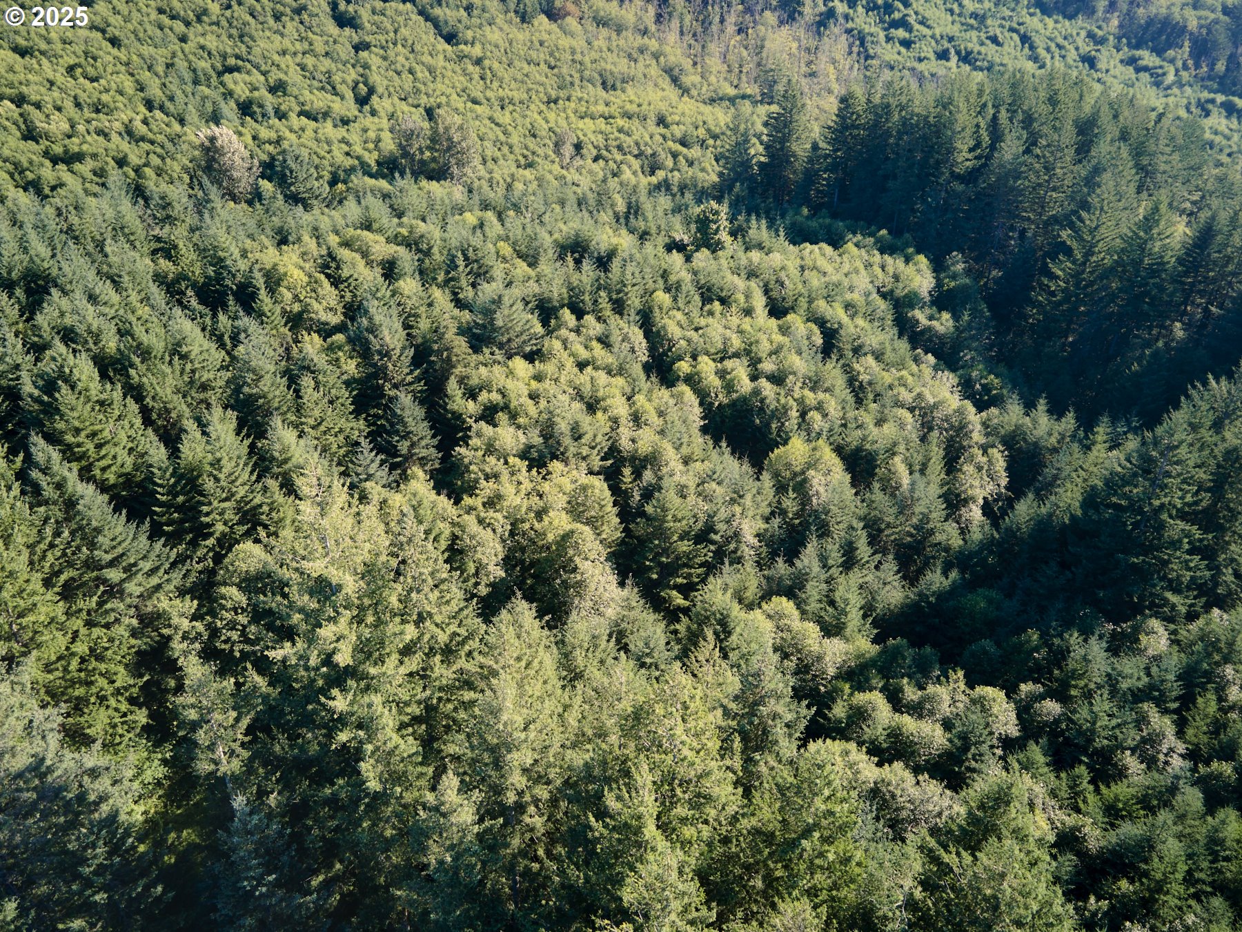 0 Buncombe Hollow RD