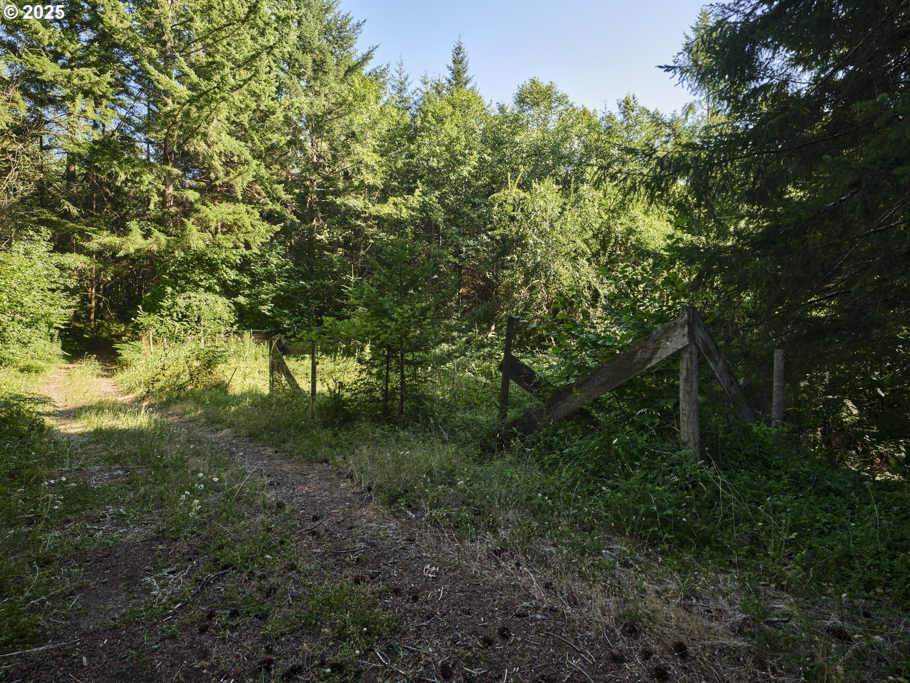 0 Buncombe Hollow RD