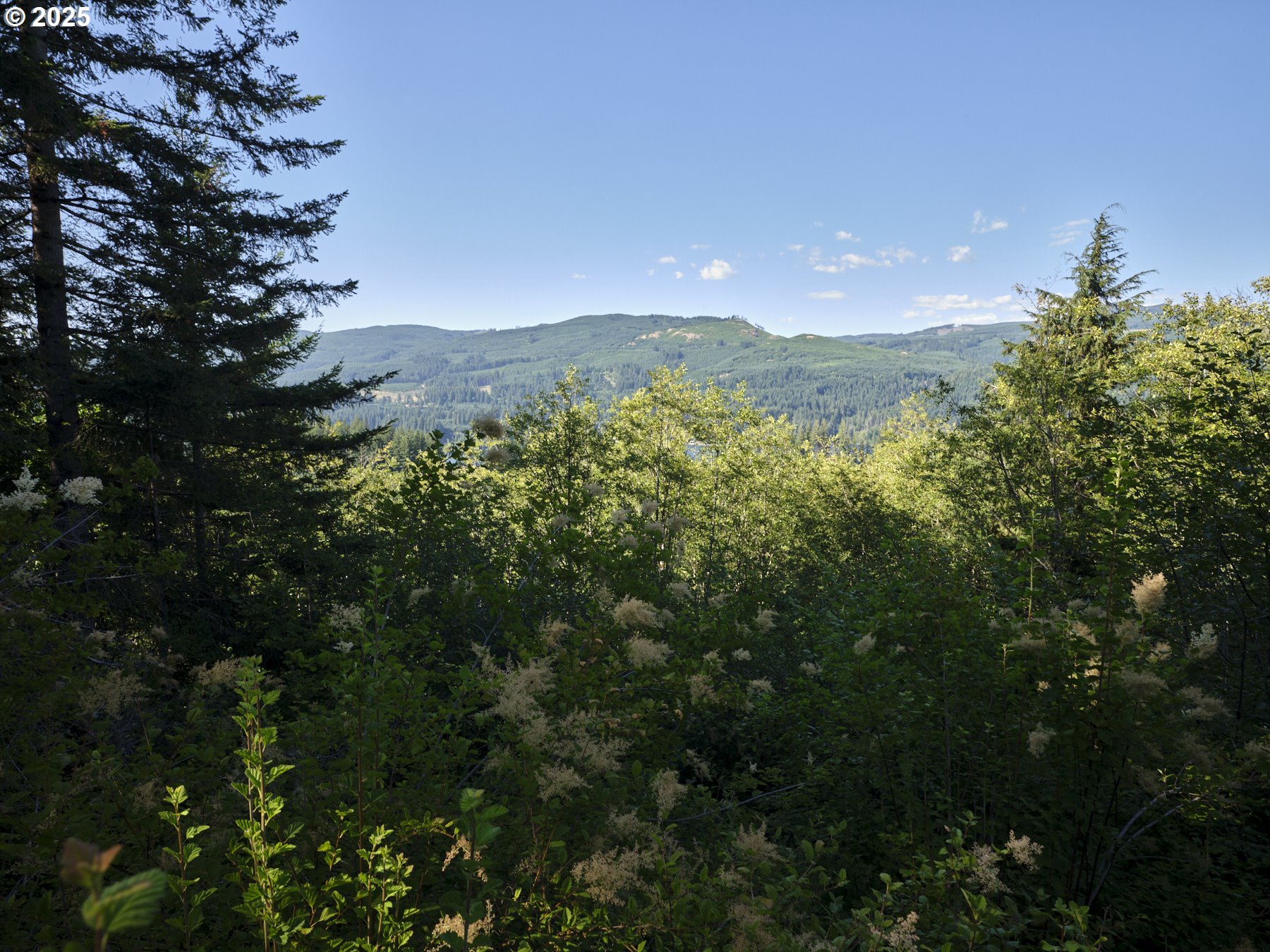 0 Buncombe Hollow RD