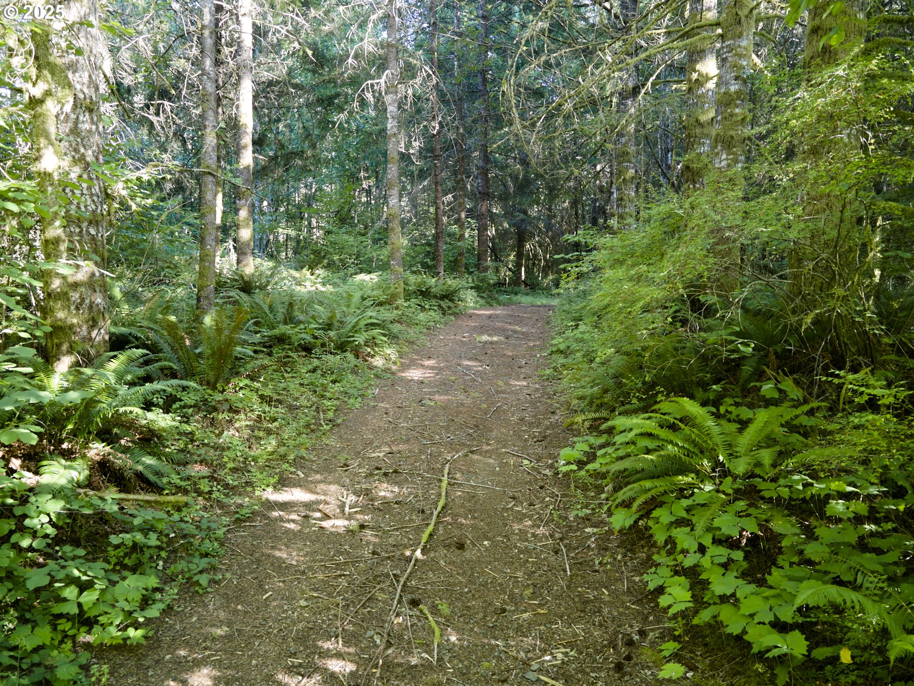 0 Buncombe Hollow RD