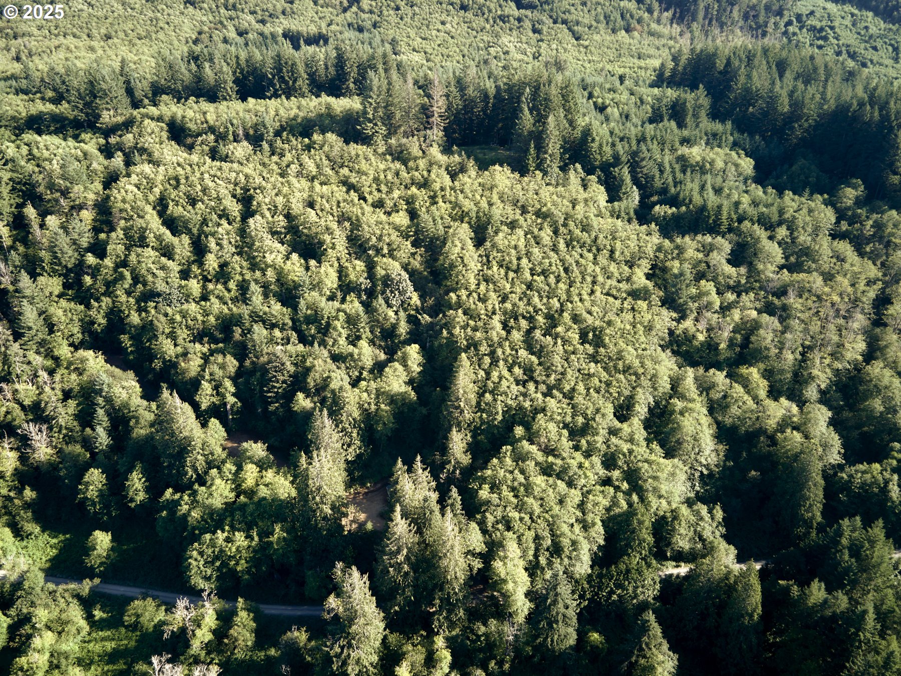 0 Buncombe Hollow RD