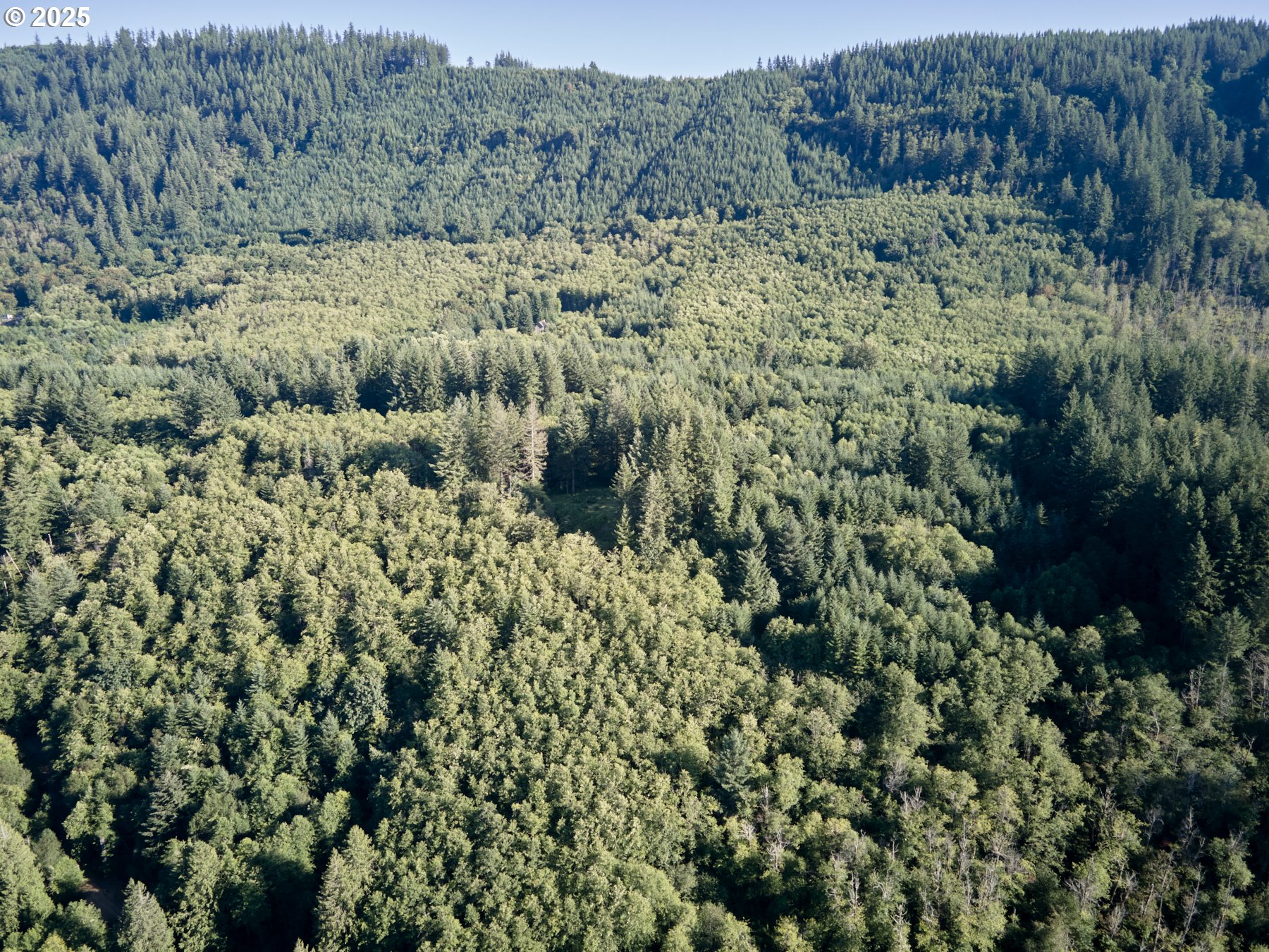 0 Buncombe Hollow RD