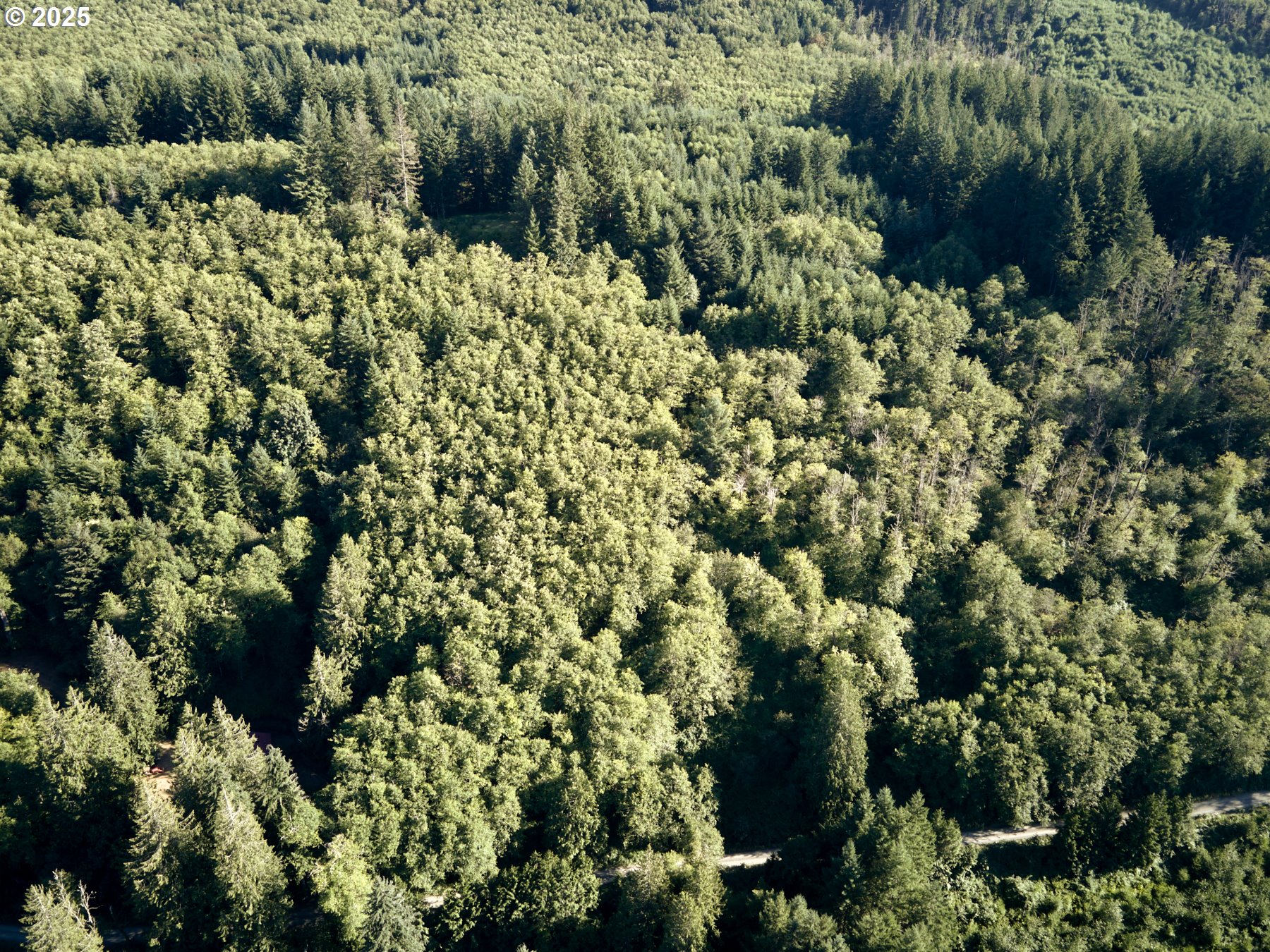0 Buncombe Hollow RD