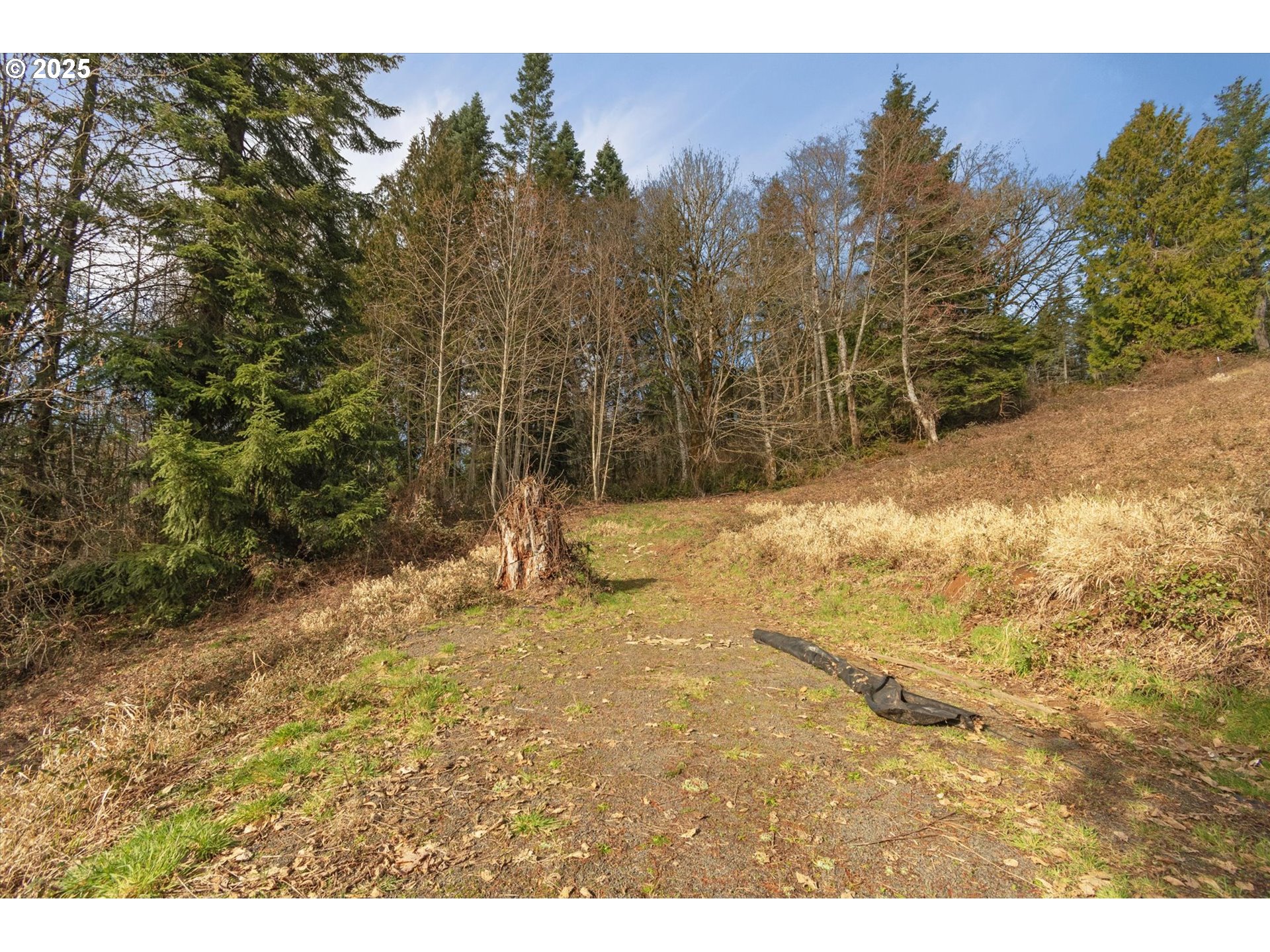 205 NEWT ESTATES RD